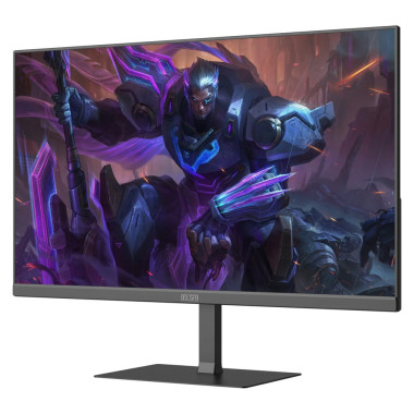 ELSA EA241Q Pro