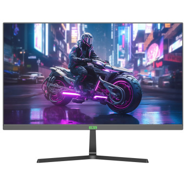 ELSA EA241S Pro