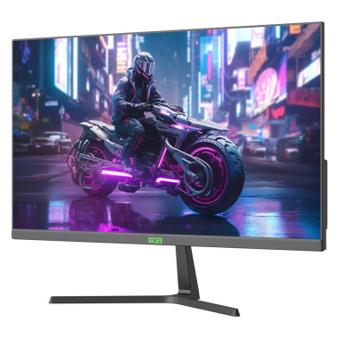 ELSA EA241S Pro