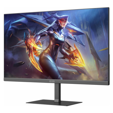 ELSA EA251Q